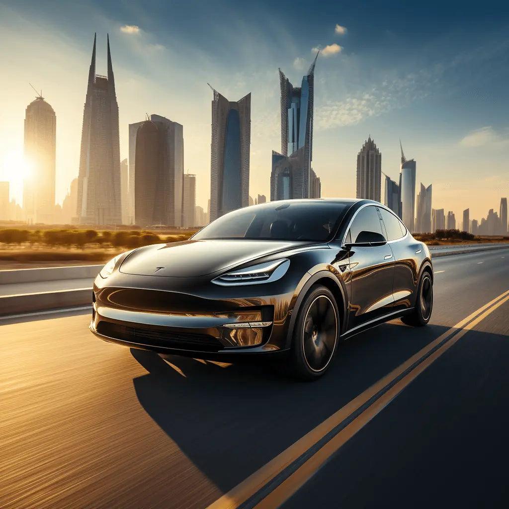 Tesla Model Y | Autowin